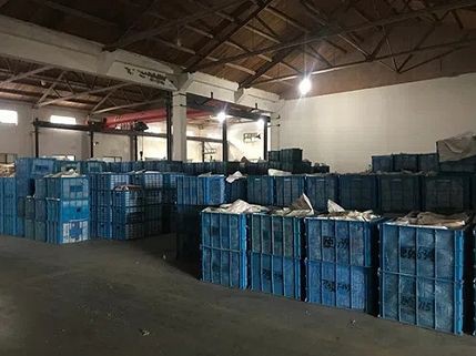 product-429-321